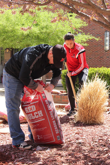 Northwestern Staff Council Planning Campus Beautification Event ...