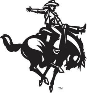 Horse Rider tm Icon in black